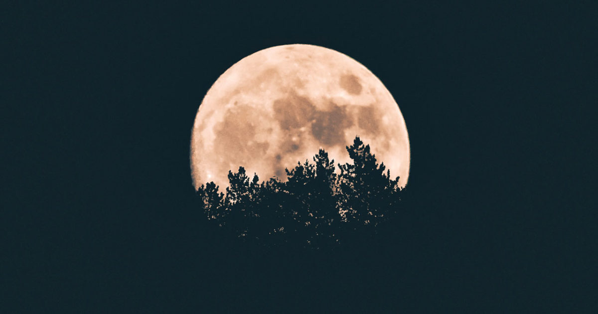La primera luna llena del 2020 está por llegar con el 'Wolf Moon Eclipse'