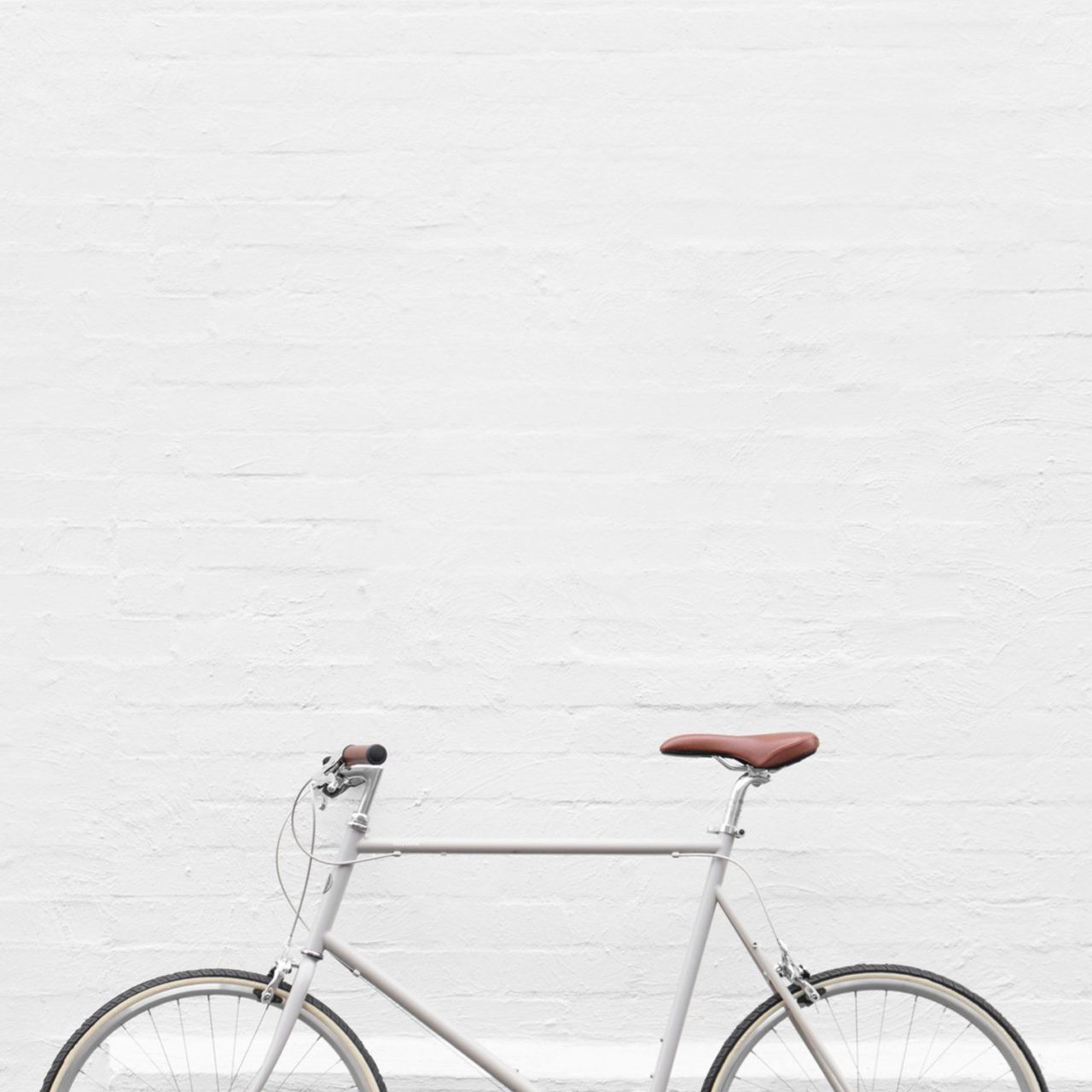 Bicicleta TOKYOBIKE clásica