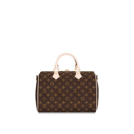 Por qué son tan populares y caros los bolsos de Louis Vuitton